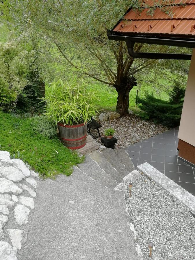 Issy View House Βίλα Senovo Εξωτερικό φωτογραφία