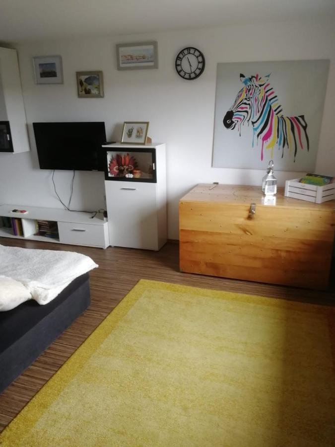 Issy View House Βίλα Senovo Εξωτερικό φωτογραφία