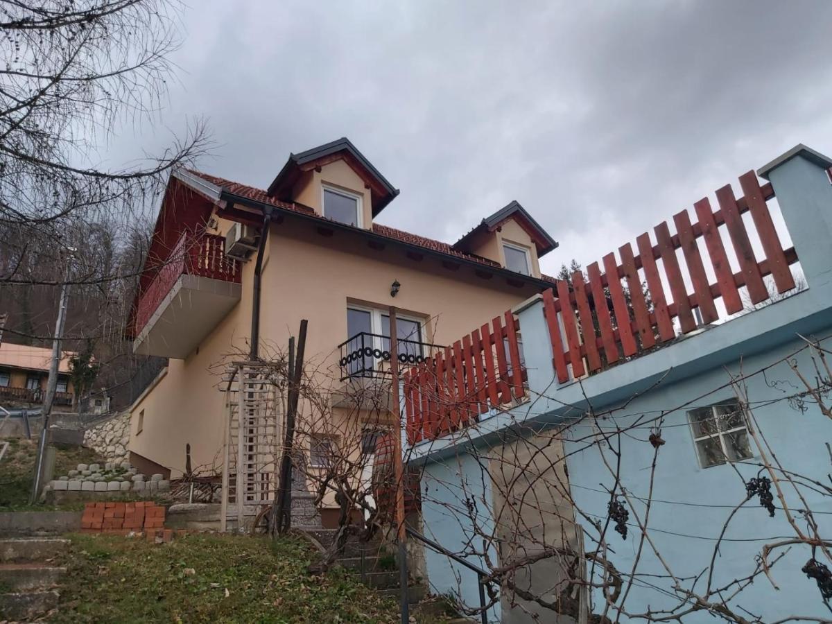 Issy View House Βίλα Senovo Εξωτερικό φωτογραφία